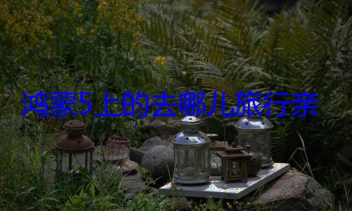 鸿蒙5上的去哪儿旅行亲测真? (鸿蒙推出)