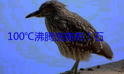 100℃沸腾洗拖布！石头P20 Ultra Plus图 (沸腾这两个字怎么读)