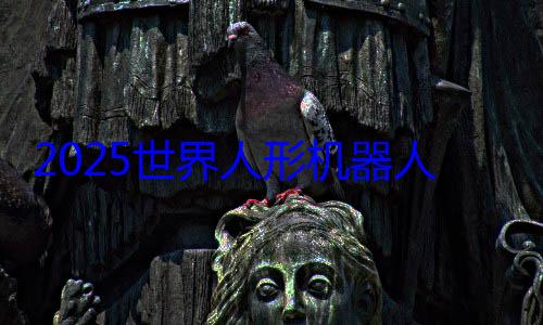 2025世界人形机器人运动会开幕：刘雨昕与机器人共跳机械 (2025世界500强排行榜)