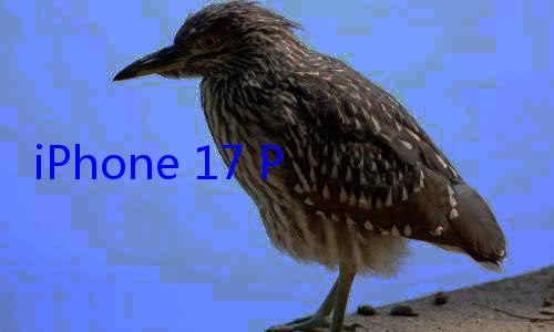 iPhone 17 Pro四大升级汇总：首次12GB内存、8倍光学变焦 (iphone17上市时间)