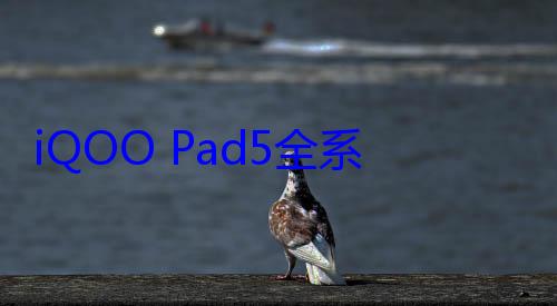 iQOO Pad5全系官宣降价 2299元起 (iqoopad5Pro参数配置)